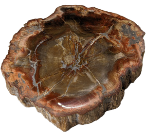 Petrified Wood Stone Decorative Crystal Slices (Four Sizes) Petrified Wood Stone Decorative Crystal Slices (Four Sizes)