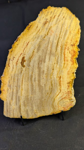 Petrified Wood Large Decorative Crystal Slices ≥9.0" & over 30 oz ( Item #23) Petrified Wood Large Decorative Crystal Slices ≥9.0" & over 30 oz ( Item #23)