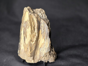 Petrified Wood Log Large Natural Decorative Crystal (02) Petrified Wood Log Large Natural Decorative Crystal (02)