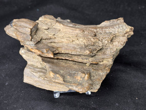 Petrified Wood Log Large Natural Decorative Crystal (07) Petrified Wood Log Large Natural Decorative Crystal (07)