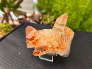 Tangerine Quartz Specimen Natural Crystals Cluster (TN19)