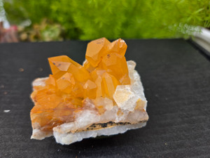 Tangerine Quartz Specimen Natural Crystals Cluster (TN17) Tangerine Quartz Specimen Natural Crystals Cluster (TN17)