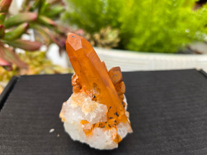 Tangerine Quartz Specimen Natural Crystals Cluster (TN7) Tangerine Quartz Specimen Natural Crystals Cluster (TN7)