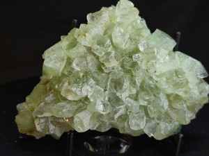 Green Apophyllite Mineral Cluster with Glassy, Blocky, Cubic Crystals- Metaphysical Healing Crystal