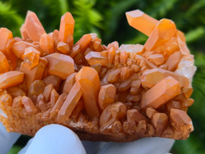 Tangerine Quartz Specimen Natural Crystals Cluster (TN24)