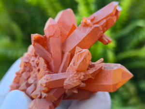 Tangerine Quartz Specimen Natural Crystals Cluster (TN28)