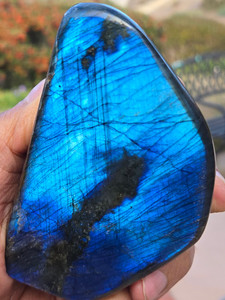 Labradorite Rare Deep Blue Flash Polished Natural Freeform, Large (80-110 mm) Decorative, Collectible Specimen