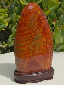 Polished Jasper (Red and Green) 7IN 2.13LB Decorative Stone Carved Wooden Display Stand Mounted