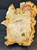 Petrified Wood Large Decorative Crystal Slice ≥9.0" & over 27.0 oz (Item #17)