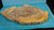 Petrified Wood Large Decorative Crystal Slice ≥7.0" & over 28 oz (Item #13)