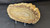 Petrified Wood Large Decorative Crystal Slice ≥6.0" & over 17 oz (Item # 4)