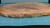 Petrified Wood Large Decorative Crystal Slice ≥8.0" & over 22 oz (Item #19)