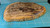 Petrified Wood Large Decorative Crystal Slice ≥7.0 " & over 20 oz (Item #12)