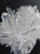 Optical Needle Quartz Crystal Specimen - Clear Quartz Cluster-1