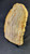 Petrified Wood Large Decorative Crystal Slices ≥9.0" & over 30 oz ( Item #23)