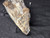 Petrified Wood Log Large Natural Decorative Crystal (04)