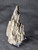 Petrified Wood Log Large Natural Decorative Crystal (05)