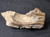 Petrified Wood Log Large Natural Decorative Crystal (08)