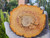 Petrified Wood Stone Decorative Crystal Slice (M07)