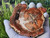 Petrified Wood Stone Decorative Crystal Slice (M10)