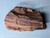 Petrified Wood Log Large Natural Decorative Crystal (06)