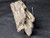 Petrified Wood Log Large Natural Decorative Crystal (06)
