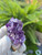 Mix of Three Specimens Amethyst Quartz Crystal Cluster Deep Purple (collectively over 6.8 oz)