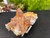 Tangerine Quartz Specimen Natural Crystals Cluster (TN16)