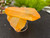 Tangerine Quartz Specimen Natural Crystals Cluster (TN12)