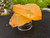 Tangerine Quartz Specimen Natural Crystals Cluster (TN12)