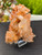 Tangerine Quartz Specimen Natural Crystals Cluster (TN10)