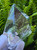 Clear Quartz Polished Point Crystal Freeform Collectible Single Specimen (QZ01)
