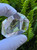 Clear Quartz Polished Point Crystal Freeform Collectible Single Specimen (QZ03)