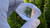 Clear Quartz Polished Point Crystal Freeform Collectible Single Specimen (QZ04)
