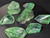 Green Fluorite Crystals Polished Freeform Specimen