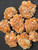 Aragonite Star Clusters Raw Natural Specimens with well-formed prismatic crystals
