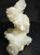 Apophyllite With Stilbite Rare Gorgeous Snow-White Crystals Cluster Specimen-Collectible Healing
