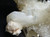 Apophyllite With Stilbite Rare Gorgeous Snow-White Crystals Cluster Specimen-Collectible Healing
