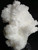 White Aragonite Sparkling White Cave Calcite Carbonate Mineral Specimen from Mexico-Healing Crystal ARG02