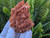 Tangerine Quartz Specimen Natural Crystals Cluster (TN21)