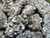 Raw Natural PYRITE from Peru HIGH QUALITY Crystal Clusters Specimens