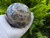 Black Moonstone Sphere Natural Flashy Moonstone Polished Crystal Ball From Madagascar
