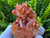 Tangerine Quartz Specimen Natural Crystals Cluster (TN23)