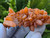 Tangerine Quartz Specimen Natural Crystals Cluster (TN24)