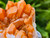 Tangerine Quartz Specimen Natural Crystals Cluster (TN25)