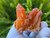 Tangerine Quartz Specimen Natural Crystals Cluster (TN27)