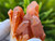 Tangerine Quartz Specimen Natural Crystals Cluster (TN27)