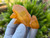 Tangerine Quartz Specimen Natural Crystals Cluster (TN31)
