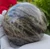 Black Moonstone sphere (83 mm 794 grams) natural flashy moonstone polished crystal ball from Madagascar