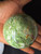 Chrysoprase Stone Sphere “Stone of Venus” (Diameter 70mm 417gm) Natural Polished Crystal Ball From Madagascar